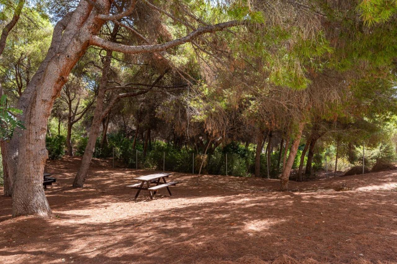 Apartament Summer Lejlighed Campoamor Eksteriør billede